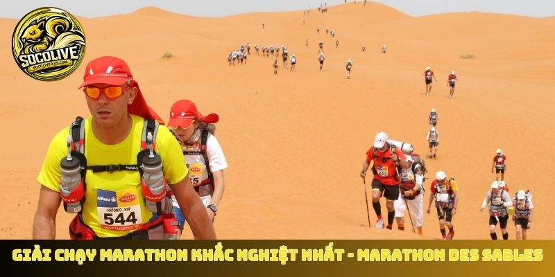 Giải chạy Marathon khắc nghiệt nhất - Marathon Des Sables