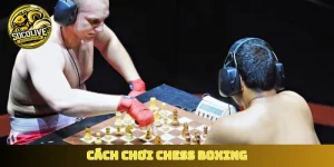 Cách chơi Chess Boxing
