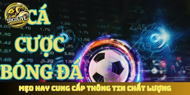 Chuyên mục mẹo hay cung cấp thông tin chất lượng