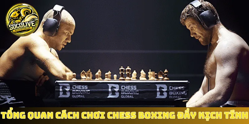 Tổng quan cách chơi Chess Boxing đầy kịch tính